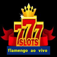 flamengo ao vivo multi tv